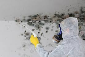 Mold Removal for HVAC Installations in Lockport, LA